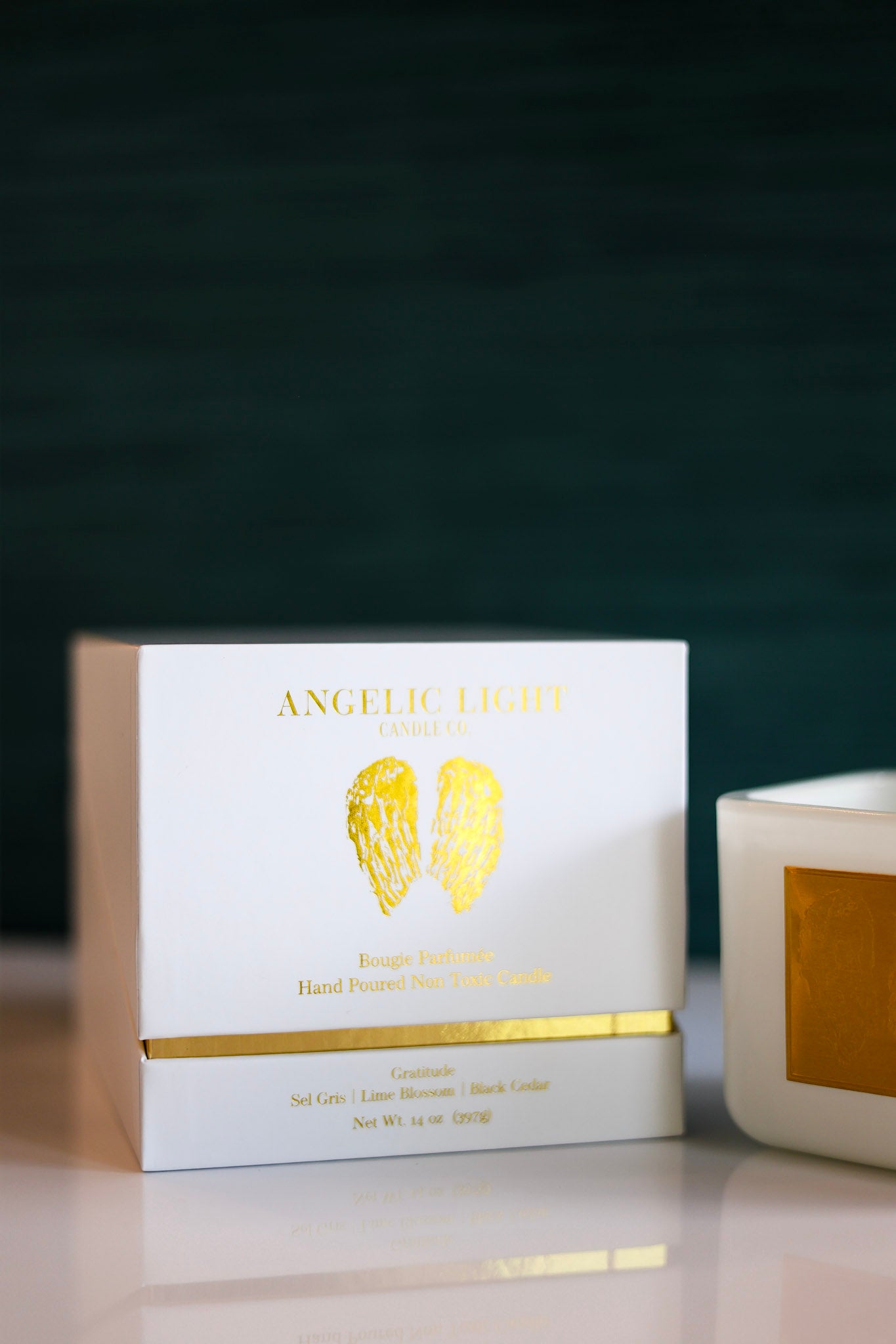 Gratitude : Bright Lime | Sea Salt | Plumeria | Crisp Driftwood | Sandalwood